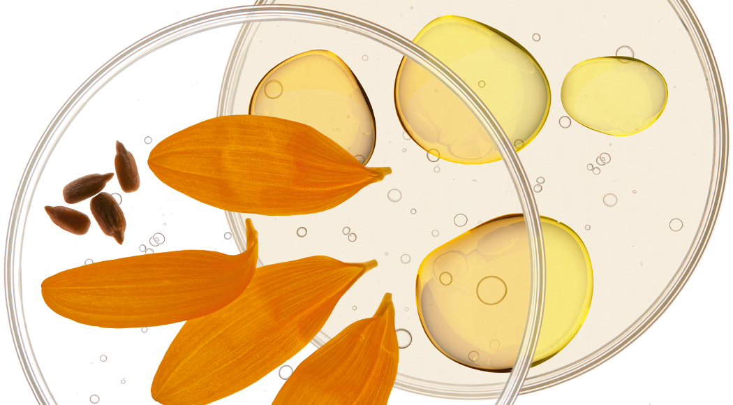 Natural cold pressed oils & other ingredients used to create our dual action vegan color system