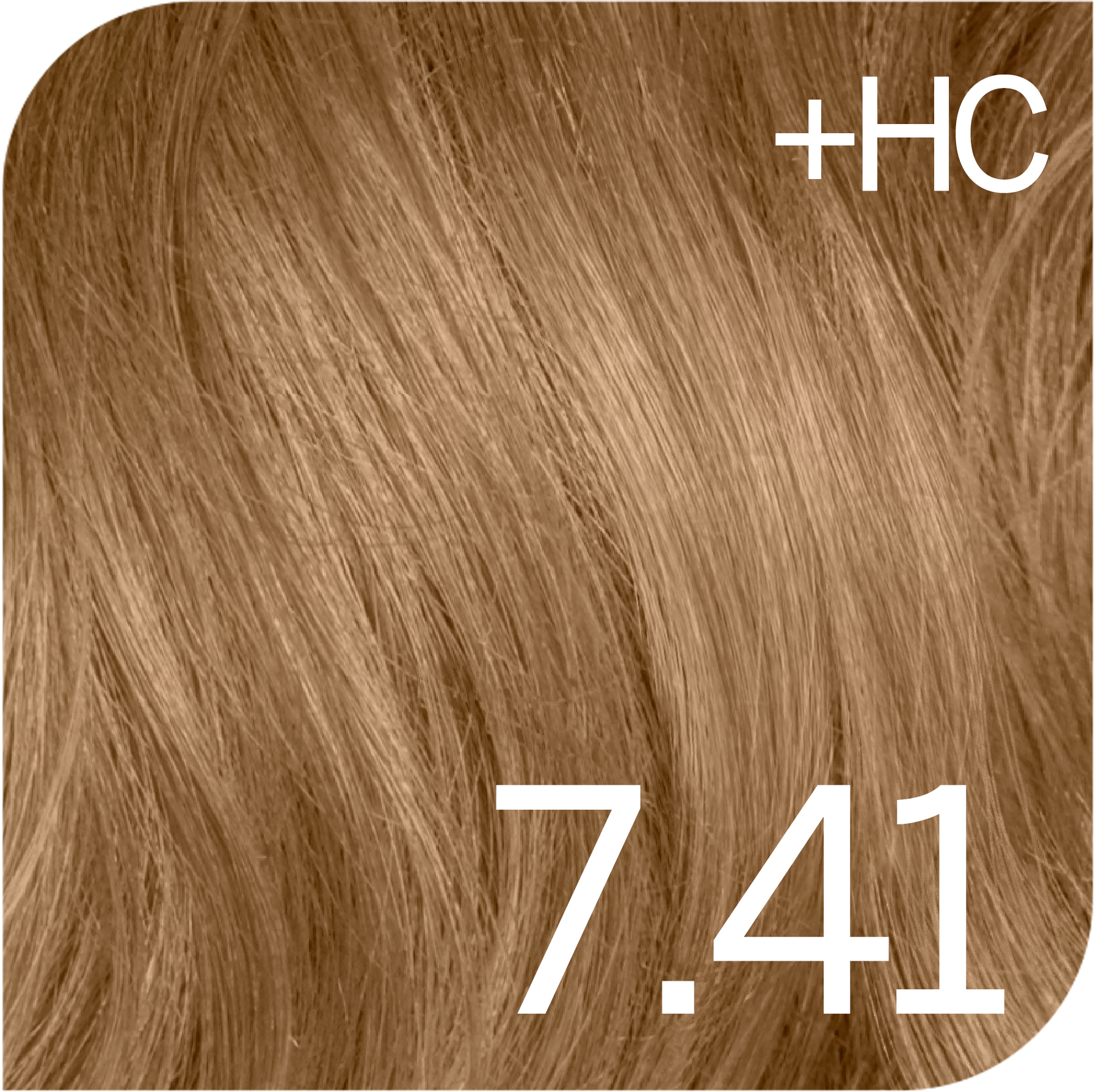 Medium Chestnut Ash Blonde