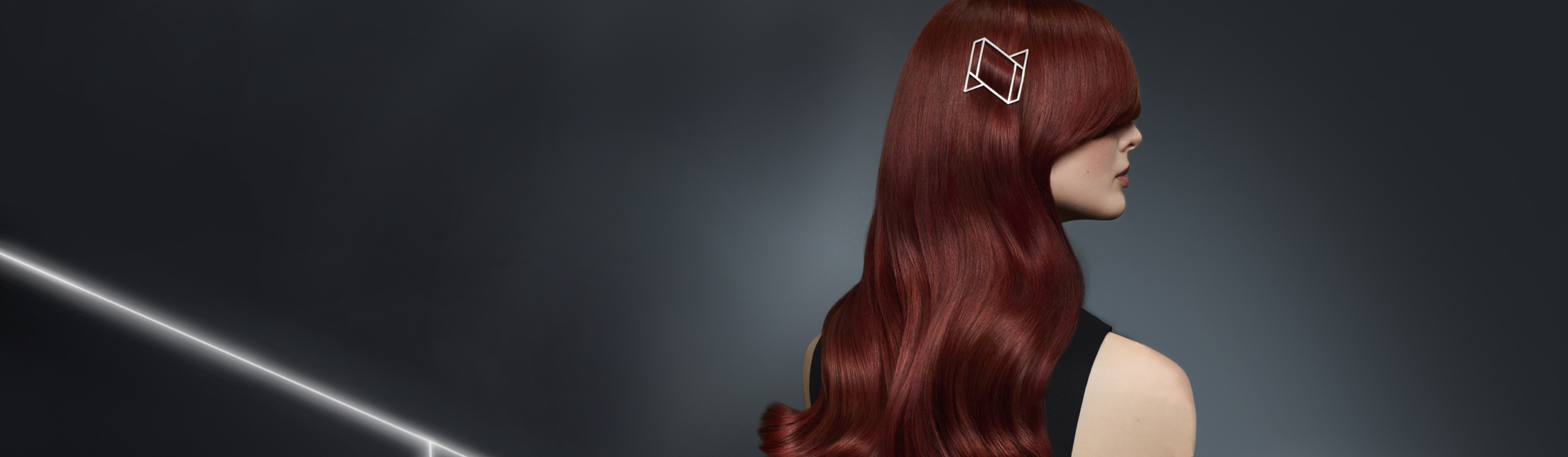 banner-colorsmetique