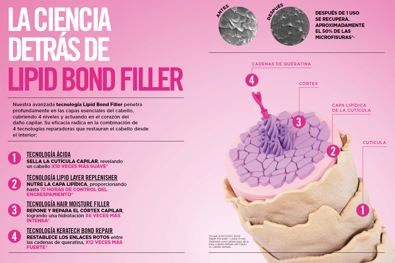 graphic showing the science behind lipid bond filler