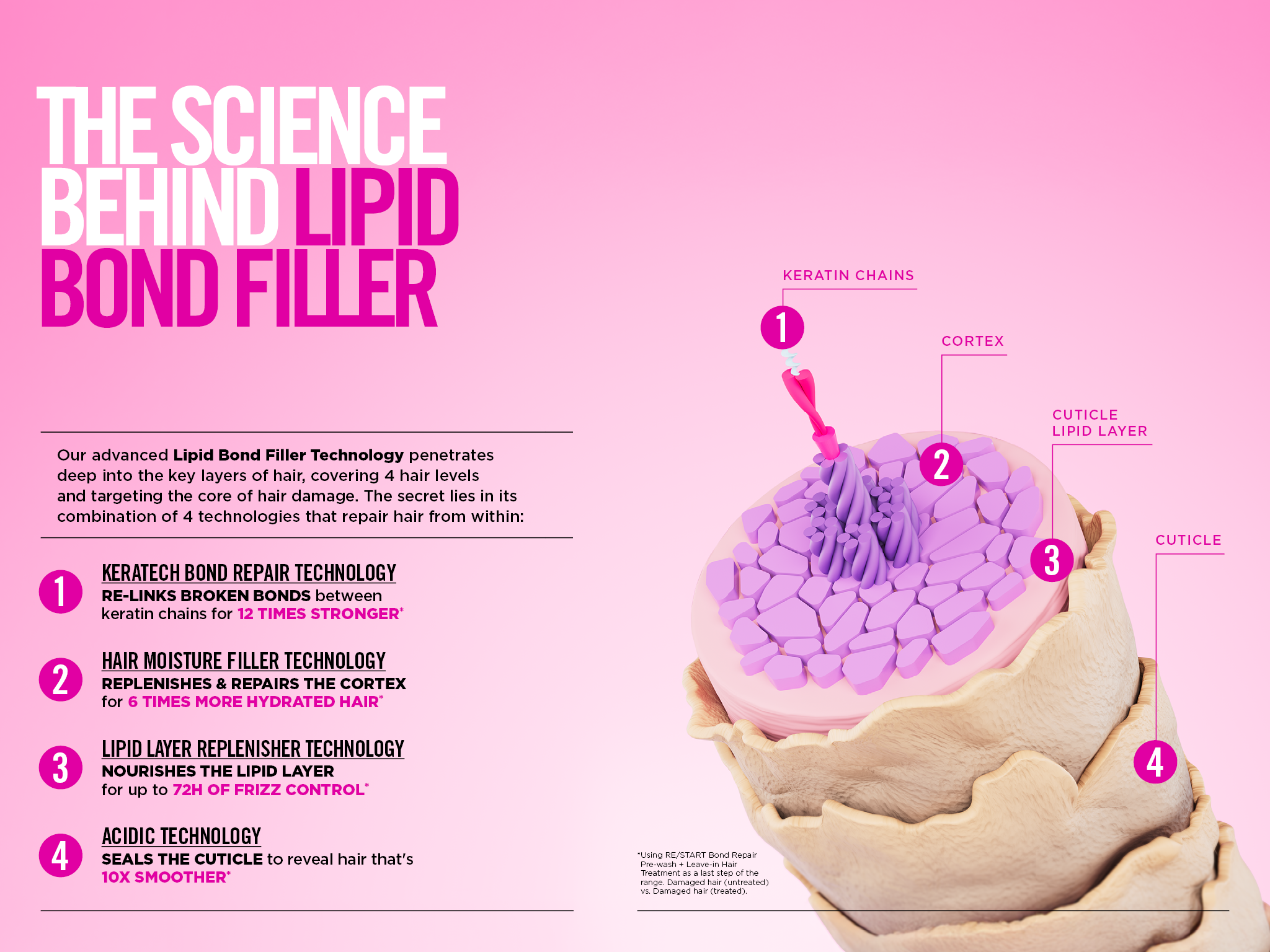 The Science Lipid Bond Filler